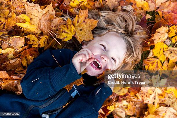 boy playing in leaves - fall colors stock pictures, royalty-free photos & images
