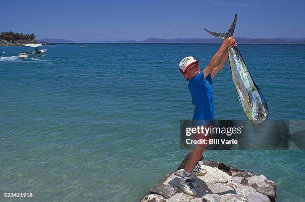 boy holding dolphinfish - dolphin fish fotografías e imágenes de stock