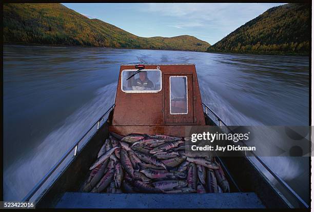 fishing boat on yukon river - rio yukon - fotografias e filmes do acervo