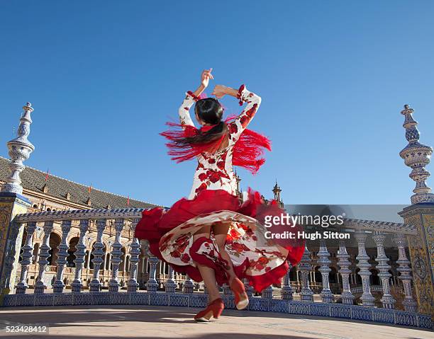 flamenco dancer - flamencos fotografías e imágenes de stock