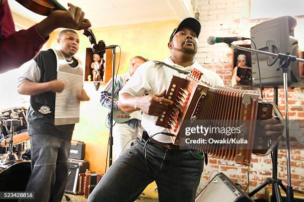 zydeco band performing - accordionist - fotografias e filmes do acervo