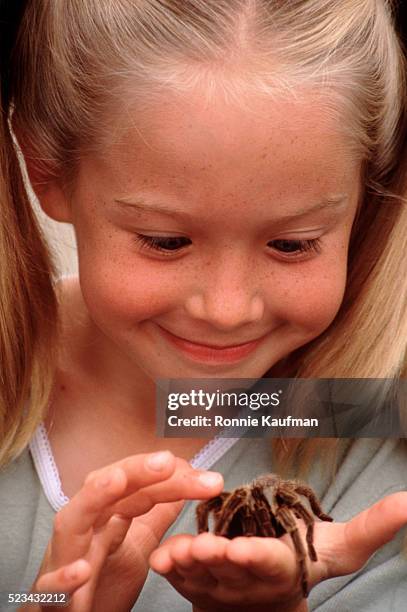 little girl holding tarantula - tarantula stock pictures, royalty-free photos & images