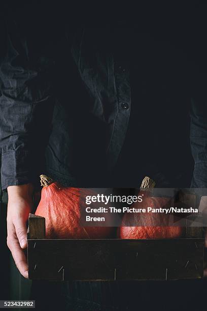 hokkaido pumpkins in woman's hands - hokaido pumpkin stock pictures, royalty-free photos & images