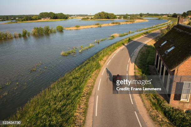 netherlands, lienden, woman cycles on dyke - netherlands stock pictures, royalty-free photos & images