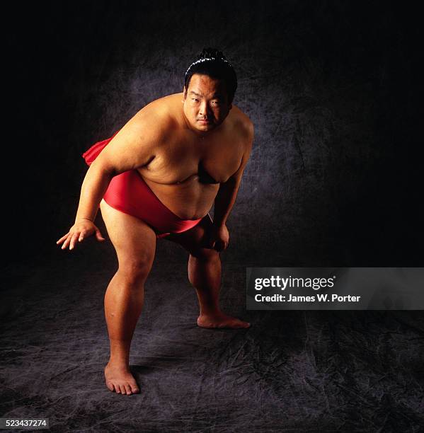 sumo wrestler posturing - sumo wrestling stock pictures, royalty-free photos & images