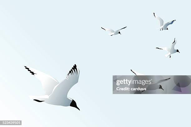 2 555点のカモメイラスト素材 Getty Images 2 555点のカモメイラスト素材 Getty Images