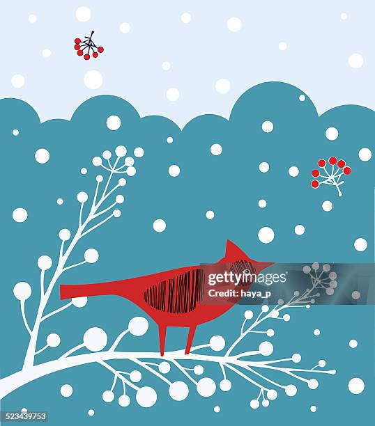 ilustrações de stock, clip art, desenhos animados e ícones de ave cardeal, no inverno, os flocos de neve, branch - blue cardinal bird