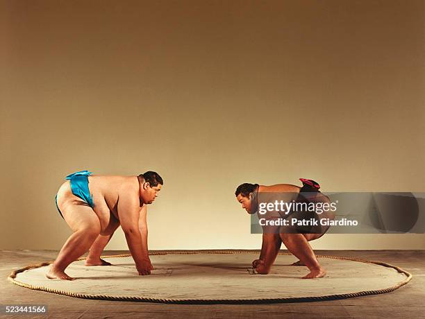 sumo wrestlers preparing to do battle - sumo stock-fotos und bilder