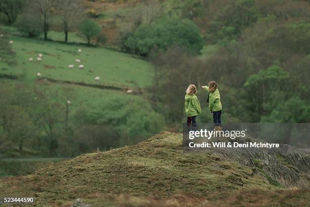 sisters watching sheep in ireland - irish family stock pictures, royalty-free photos & images