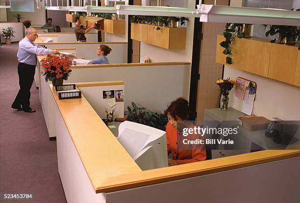 office workers in cubicles - archival office stock pictures, royalty-free photos & images