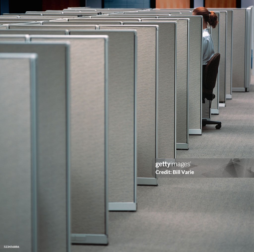 Office Worker in a Small Cubicle