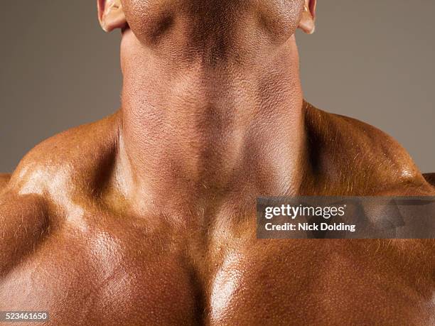 bodybuilder - muscle building stockfoto's en -beelden