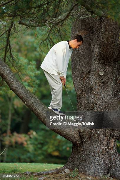 golfer hitting ball from tree - golf ball stock pictures, royalty-free photos & images