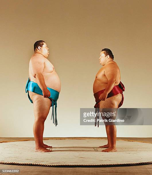 sumo wrestlers facing each other - sumo ストックフォトと画像