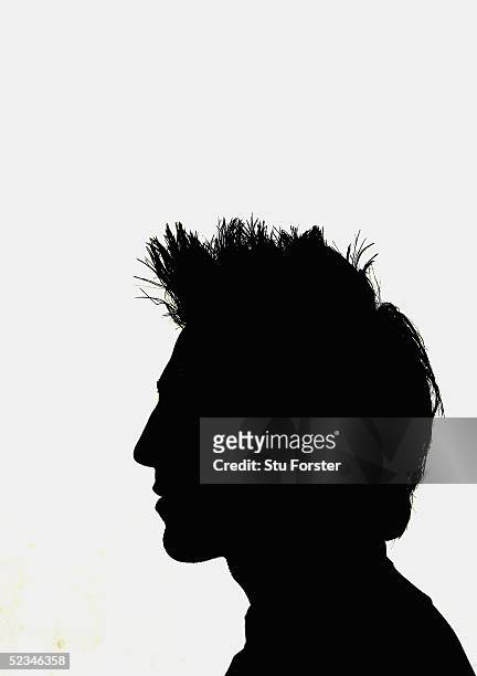 Wales centre Gavin Henson is pictured in silhouette during The Welsh Rugby Union Press Conference at The Vale of Glamorgan Hotel on March 9, 2005 in...