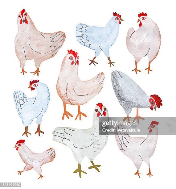 chickens isolated on white - feeding stock illustrations
