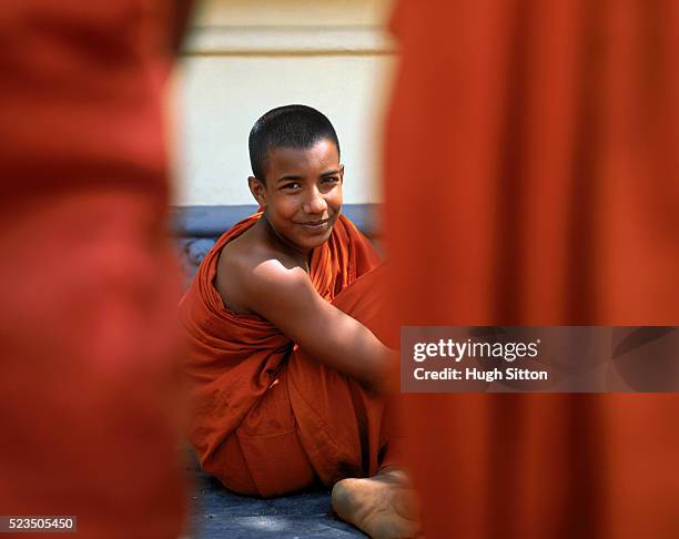 young buddhist monk, sri lanka - hugh sitton india fotografías e imágenes de stock