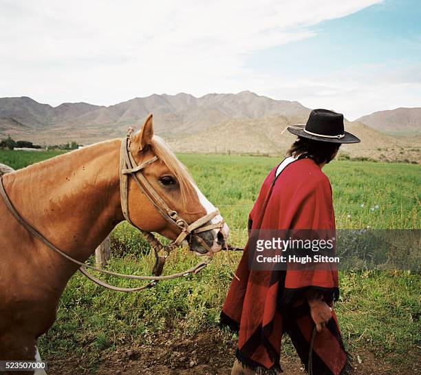 cowboy leading horse, cachi, salta, argentina - gaucho argentina stock pictures, royalty-free photos & images