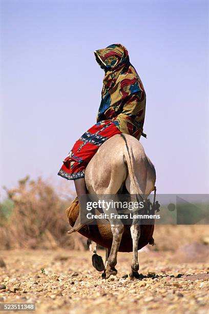 boy on donkey, niger, africa - wildnisgebiets name stock-fotos und bilder