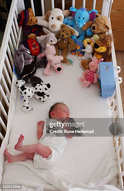 baby sleeping in crib - stuffed toy stock pictures, royalty-free photos & images