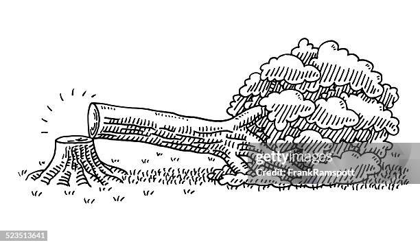 406点の切り株イラスト素材 Getty Images 406点の切り株イラスト素材 Getty Images