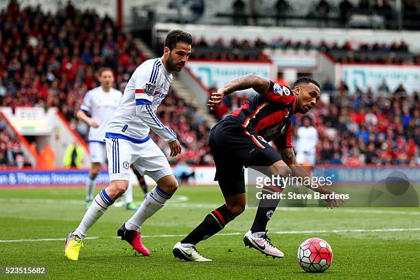 Callum Wilson of Bournemouth is closed down by Cesc Fabregas of Chelsea during the Barclays Premier League match between A.F.C. Bournemouth and...