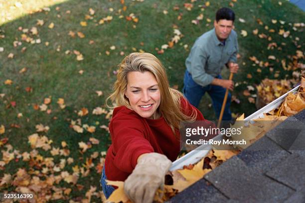 couple cleaning away leaves - dakgoot stockfoto's en -beelden