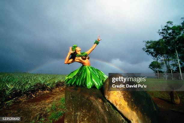 346 Hawaiian Skirt Stock Photos, High-Res Pictures, and Images - Getty  Images