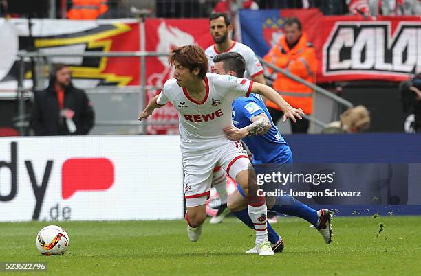 Yuya Osako of Cologne and Jerome Gondorf of Darmstadt battle for the ball during the Bundesliga match between 1. FC Koeln and SV Darmstadt 98 at...