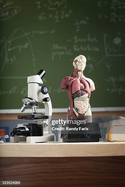 items in classroom - biologie stockfoto's en -beelden