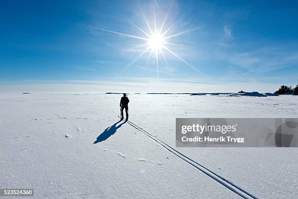 crosscountry skiing in the archipelago - cross country skiing stock pictures, royalty-free photos & images