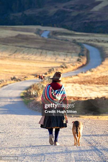 older woman walking in the mountains near moray. cusco. peru. - moray cusco fotografías e imágenes de stock