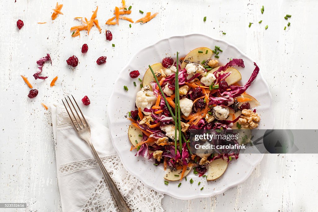 Red cabbage salat with cranberries and chia seeds