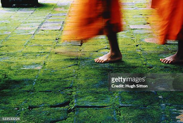 procession of novice buddhist monks - hugh sitton stock pictures, royalty-free photos & images