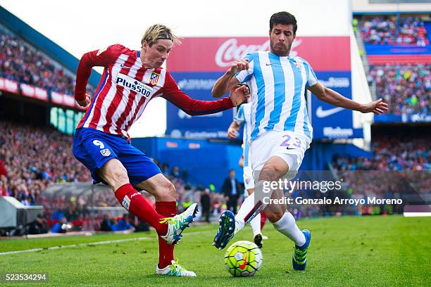 Fernando Torres of Atletico de Madrid competes for the ball with Miguel Torres of Malaga CF during the La Liga match between Club Atletico de Madrid...