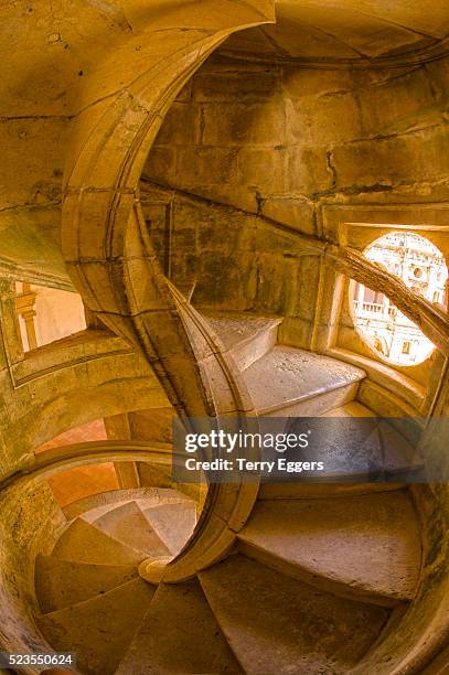 spiral stone staircase in convento de cristo - tomar stock pictures, royalty-free photos & images