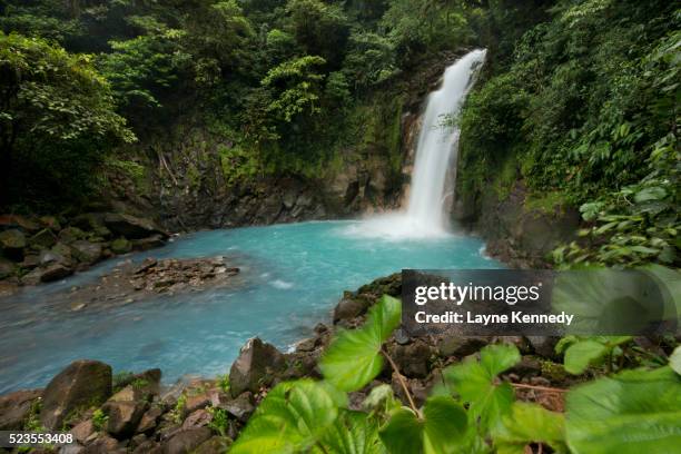 rio celeste falls at tenorio volcano national park, costa rica - tenorio volcano national park stock pictures, royalty-free photos & images