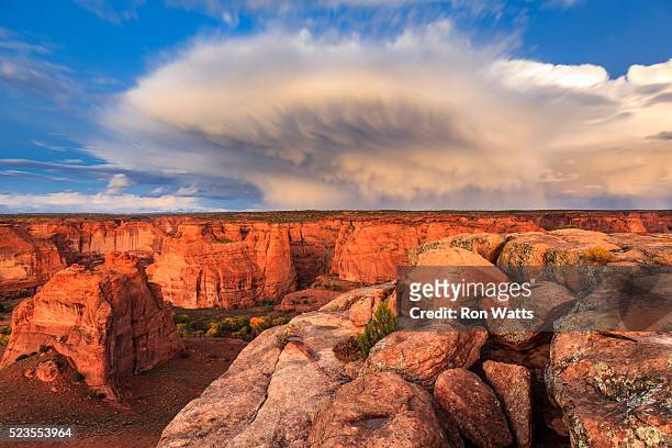 canyon de chelley - cottonwood stock pictures, royalty-free photos & images