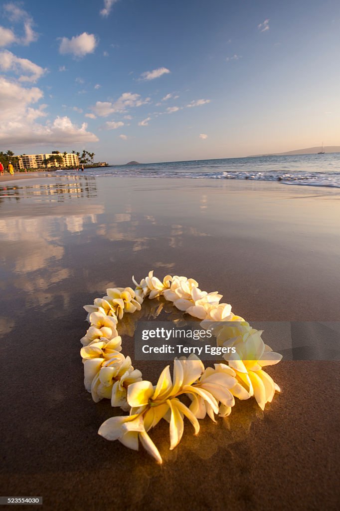 Lie on Kihei Beach with Reflections in Sand