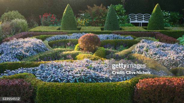 waterperry gardens - boxwood stock pictures, royalty-free photos & images