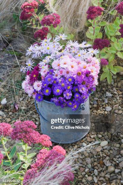 waterperry gardens - flower bucket stock pictures, royalty-free photos & images