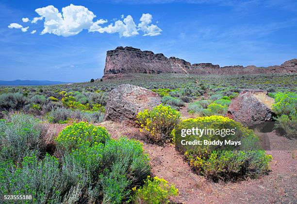 fort rock, oregon - rabbit brush stock pictures, royalty-free photos & images