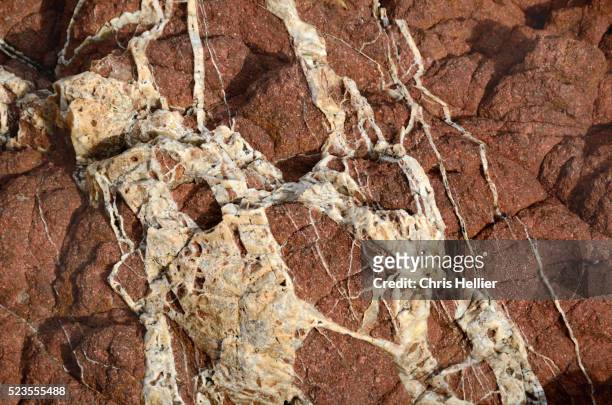 quartz veins in rhyolite volcanic rock cap dramont - porphyry stock-fotos und bilder