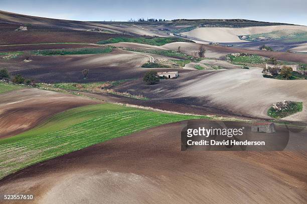 farmland in winner area, basilicata, italy - mezzogiorno stock-fotos und bilder