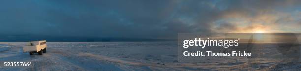 tundra buggy panoramic at sunrise - tundra bildbanksfoton och bilder