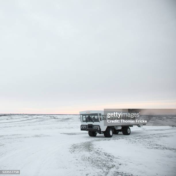 tundra buggy on canadian tundra. - tundra buggy foto e immagini stock