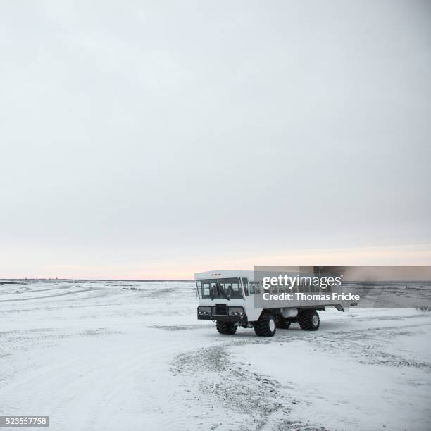 tundra buggy on canadian tundra. - tundra buggy stock pictures, royalty-free photos & images