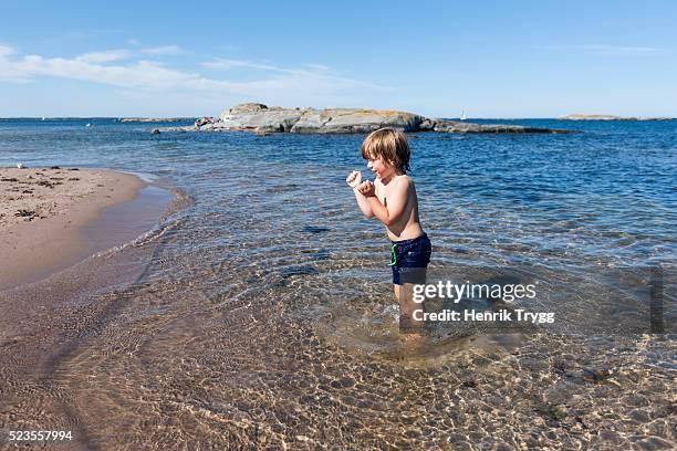 boy on beach in stockholm archipelago - stockholm beach stock pictures, royalty-free photos & images