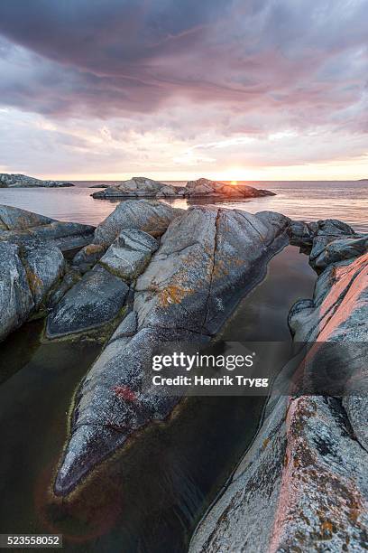sunset in stockholm archipelago - stockholm archipelago stock pictures, royalty-free photos & images