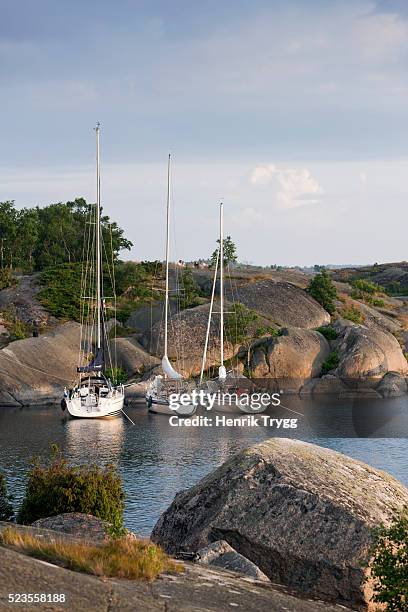 hallskär stockholm archipelago - stockholm archipelago stock pictures, royalty-free photos & images